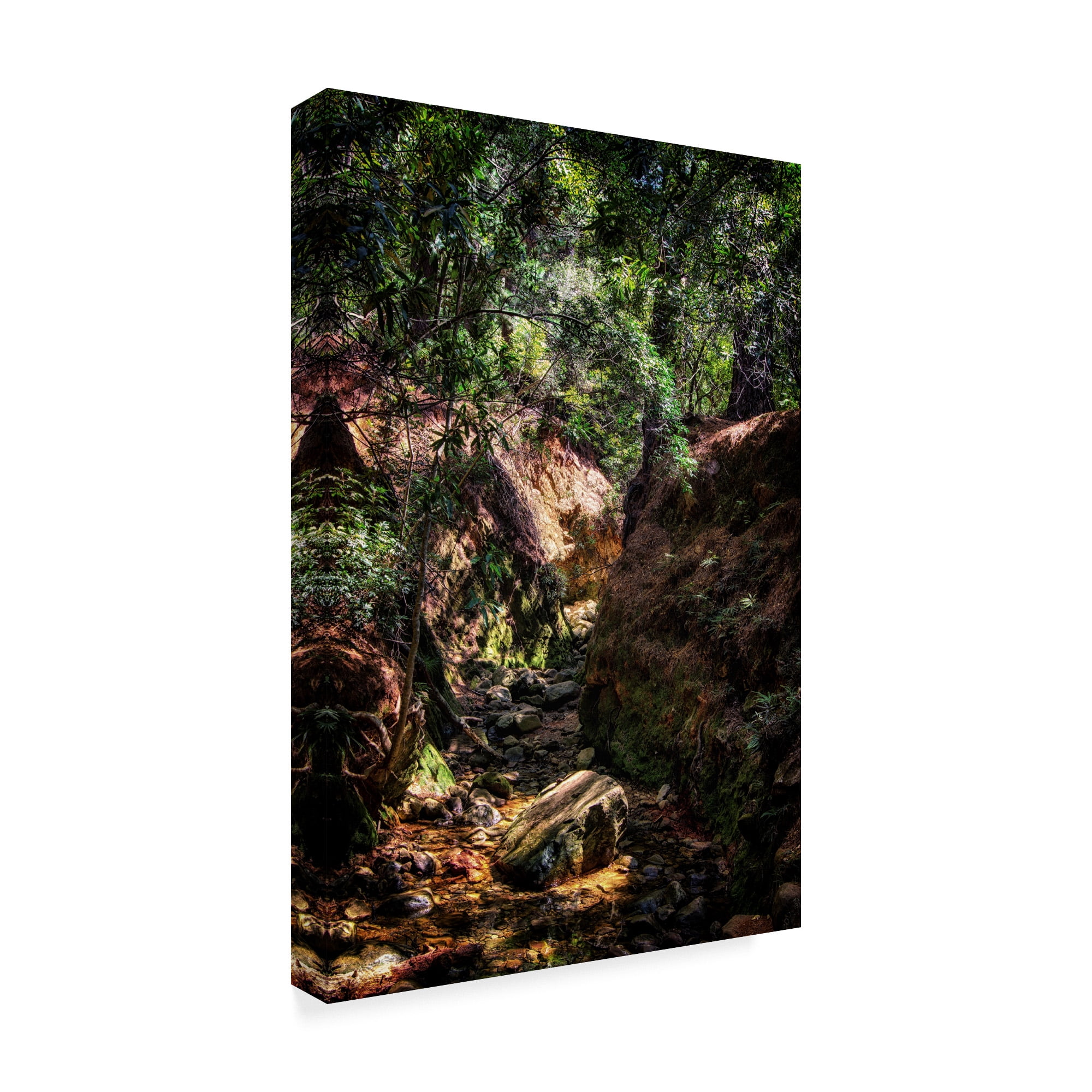 Trademark Fine Art 'Brush Forest Path' Canvas Art by Pixie Pics
