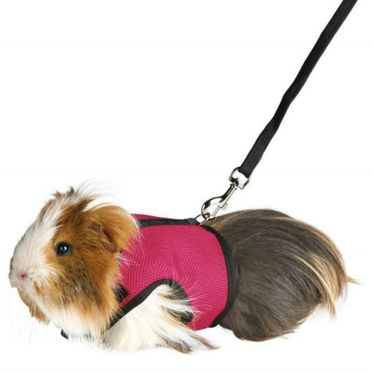Rabbit Harness and Lead Set, Adjustable Soft Rabbit Harness, Rabbit Harness  and Lead Set, Soft Harness with Lead for Rabbits, Rabbit Harness with  Elastic Lead - Walmart.com