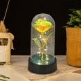 thumbnail image 4 of Quinlirra Birthday Gifts for Women, Mothers Day Rose Gifts for Mom, Womens Glass Rose Gifts, LED Flowers Lights, Gifts for Her,Wife,Mom,Girls,Anniversary-Yellow&3.34*5.9inch, 4 of 9