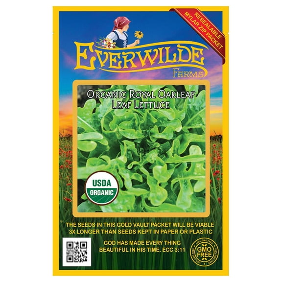 Everwilde Farms - 500 Organic Royal Oakleaf Leaf Lettuce Seeds - Gold Vault Jumbo Bulk Seed Packet