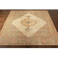 thumbnail image 4 of Mark&Day Area Rugs, 2x3 Alverna Traditional Brown Area Rug (2' x 3'), 4 of 5
