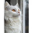 thumbnail image 1 of Qisvanset 12x16 Inch Window White Cat Canvas Wall Art, Vintage Animal Print Cozy Cottagecore Farmhouse Decor, 1 of 8