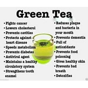 Camellia sinensis 10 Seeds Tea Plant Seeds