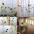 thumbnail image 2 of Hanging Glass Flowers Plant Vase Bottle Terrarium Container Home Garden Decors, 2 of 5