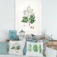 thumbnail image 3 of Designart 'Ancient Botanicals XII' Farmhouse Framed Art Print, 3 of 4