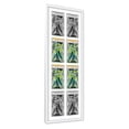 thumbnail image 2 of 8 Comic Book Frame White Collage Comic Book Frame with White Mat to Display 8 Graded Comic Books, 2 of 6