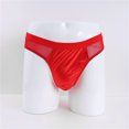 thumbnail image 4 of Borniu Mens Underwear, New Personality Sexy Perspective Underwear Low Waist Breathable Men's Mesh Briefs Men Underwear Clearance, 4 of 4