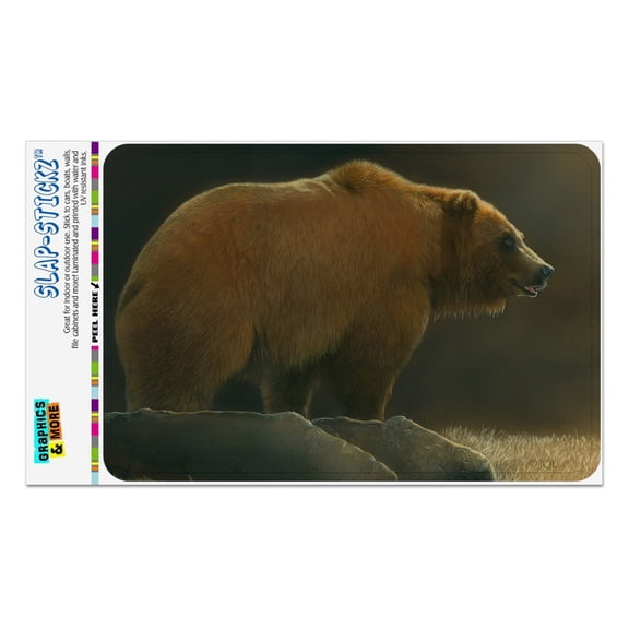 Grizzly Bear in the Morning Glow Home Business Office Sign