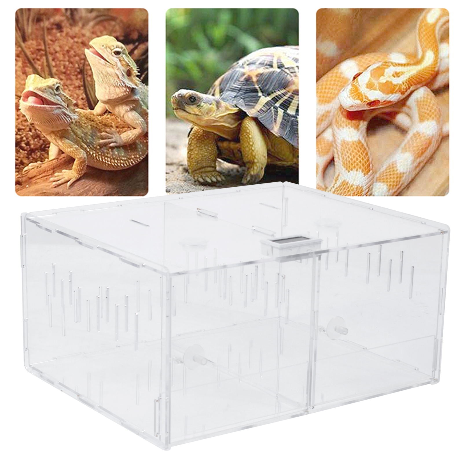 Wuzstar 2 Grid Acrylic Pet Reptile Cage Pet Feeding Box Insect Spider