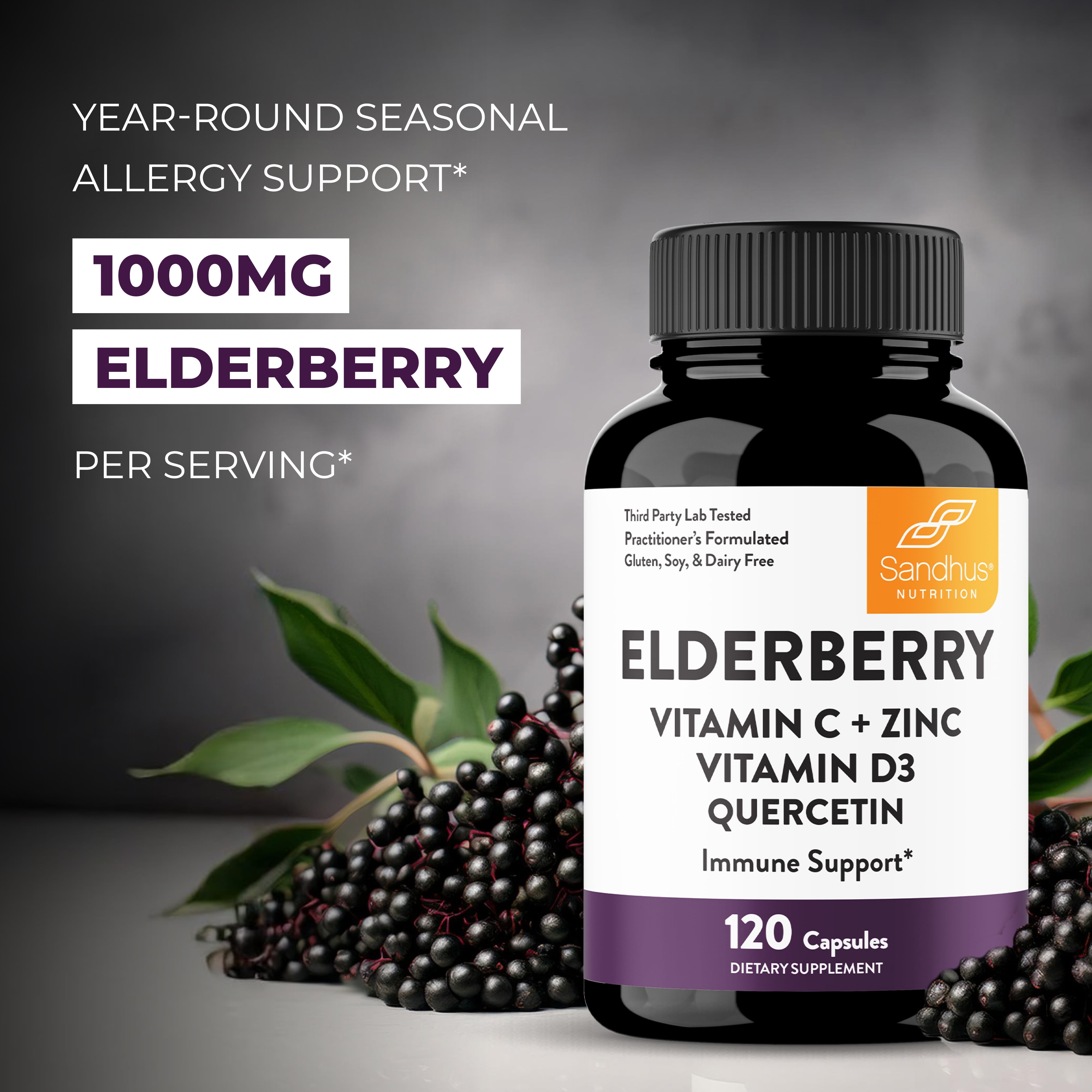 Elderberry Vitamin C and Zinc Capsules for Adults | 120 Count with Quercetin & Vitamin D3 | 6-in-1 Immune Support Supplement Pills | Sambucus Black Elderberry Natural Immunity Vitamins | Made in USA
