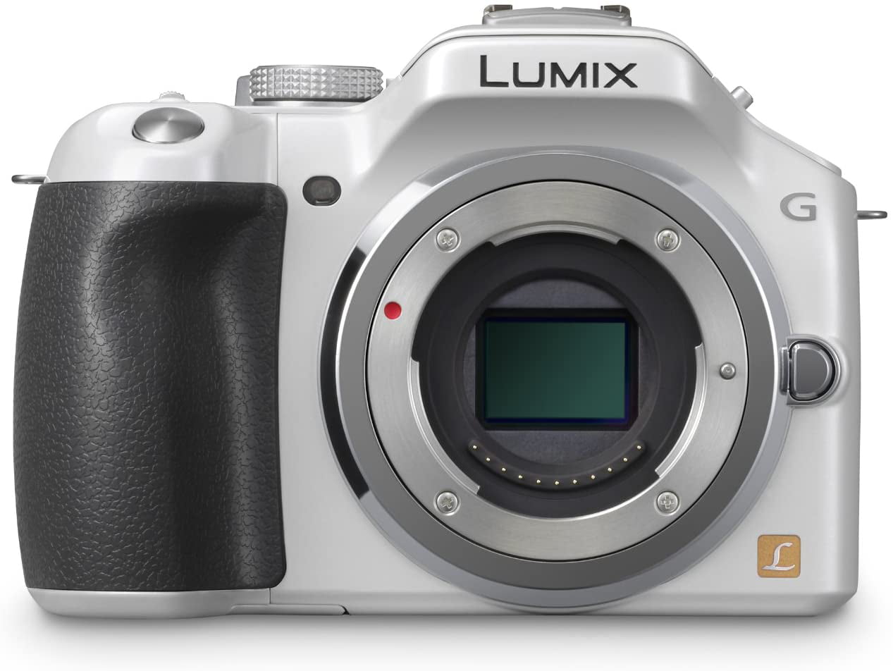 progressief Aap Tub Panasonic Lumix DMC-G5 Digital Camera Body White (Body Only) (Kit Box) -  Walmart.com