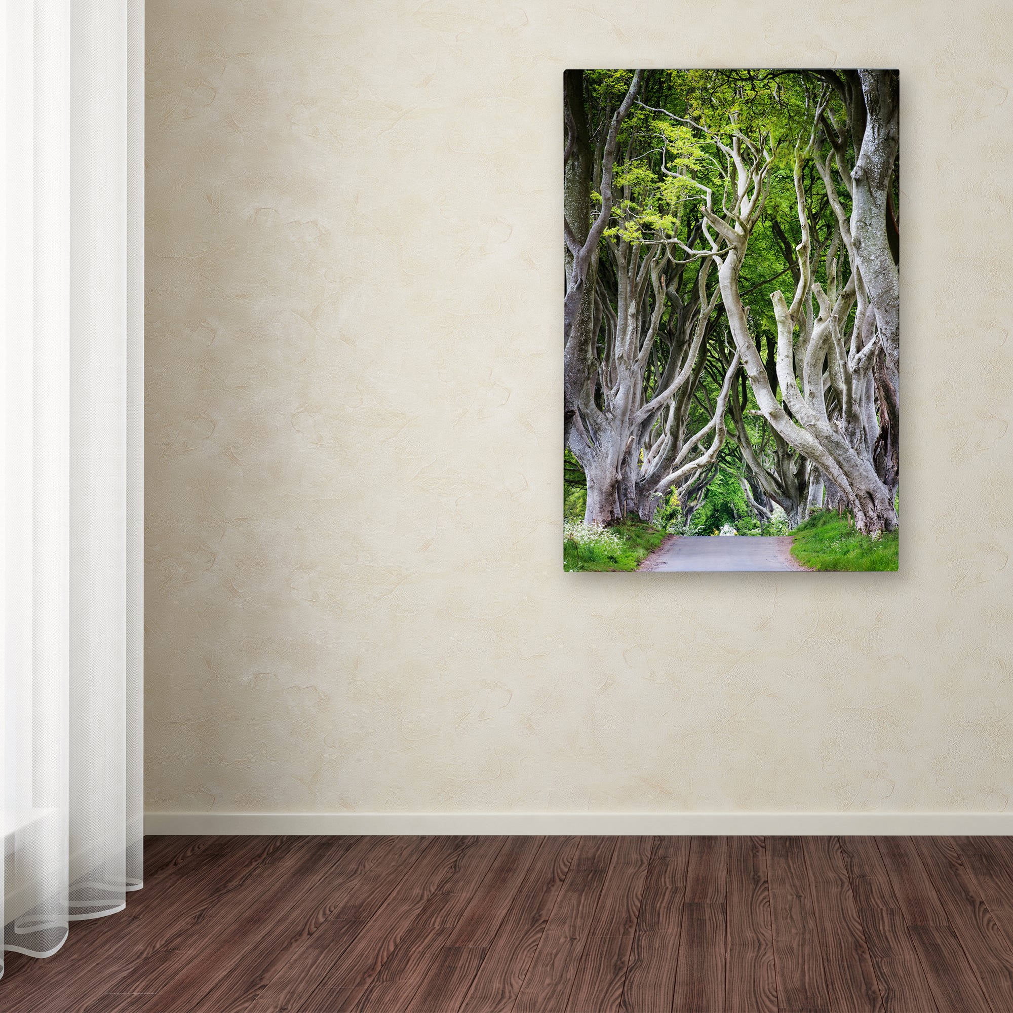 Trademark Fine Art "Down There" Canvas Art by Philippe Sainte-Laudy