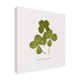 thumbnail image 2 of Grace Popp 'Pressed Clover II' Canvas Art, 2 of 3
