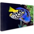 thumbnail image 2 of Trademark Fine Art "Colorful Tropical Fish" Canvas Art by Kurt Shaffer, 2 of 3