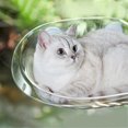 thumbnail image 2 of Cat Bed Windowsill Glass Hanging Bed Pet Supplies Transparent-White, 2 of 4