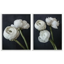 Stupell Industries Simple Black & White Peony Plants & Flowers Photography White Framed Art Print Wall Art, 24 x 30, Set of 2
