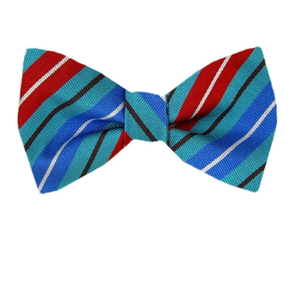 FBTZ-1148-Silk Mens Designer Fashion Self Tie Bow Tie