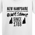 thumbnail image 4 of Inktastic New Hampshire Awesome Since 1788 Youth T-Shirt, 4 of 5