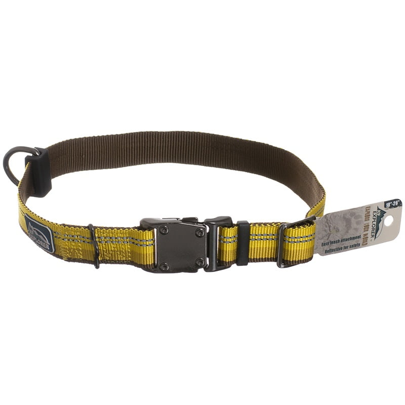 K9 Explorer Reflective Adjustable Dog Collar Goldenrod 26\" Long x 1
