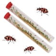 thumbnail image 3 of Las larvas de mariquitas rellenan la historia de los insectos con un diario de actividades STEM, 3 of 5