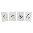 thumbnail image 2 of Hummingbird Print (Set of 4) 5.5"L x 8"H Wood/MDF/Paper, 2 of 2