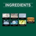 thumbnail image 2 of 2 Bag Natural Peppermint Rodent Repellent Tablets, Plant-Based Mouse Rat Deterrent, Indoor & Outdoor Long Lasting Rodent Repeller for Attic, Garage, Warehouse, Yard Safe Non-Toxic Pest Control, 2 of 8