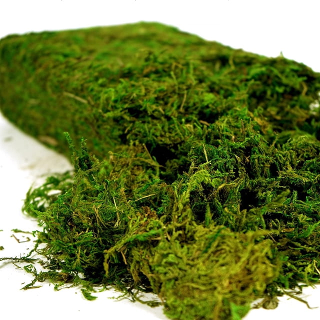 Musgo artificial USMOLA Fake Moss, 455 g, para manualidades y decoración