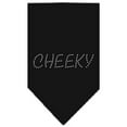 thumbnail image 3 of Pet and Dog Bandana Rhinestone, "Cheeky", 3 of 10