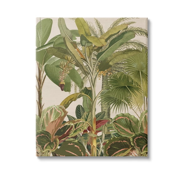 Stupell Industries Tropical Jungle Vegetation Botanical & Floral Painting Gallery Wrapped Canvas Art Print Wall Art, 16 x 20