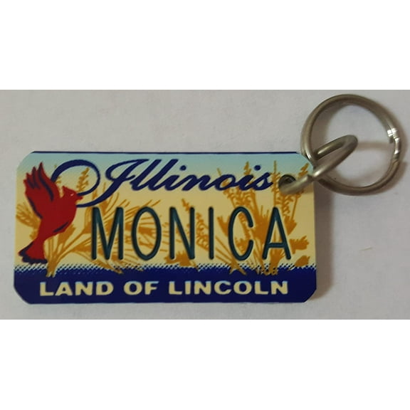 Illinois Land of Lincoln Monica Keychain Key Holder Key Ring New