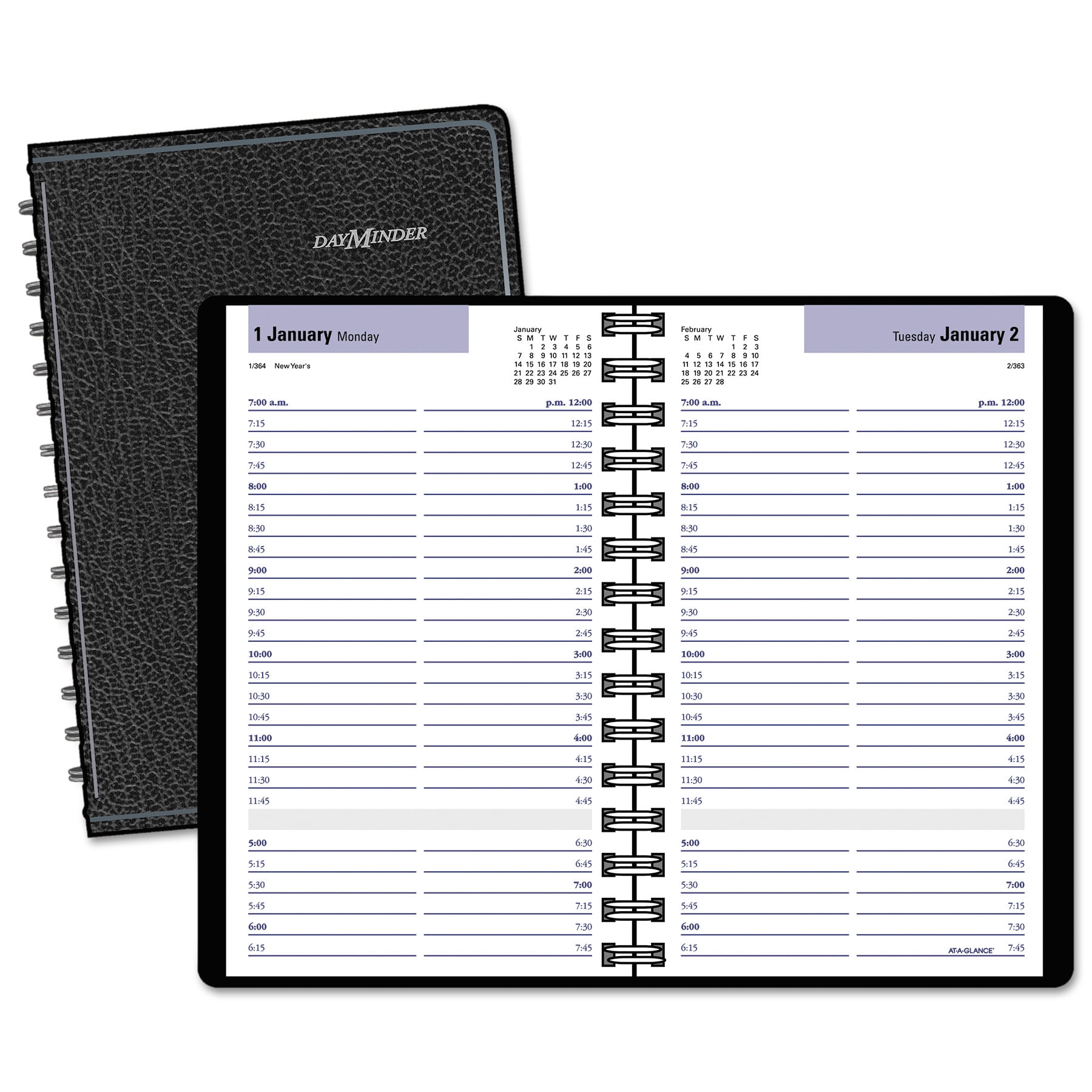 ACCO Brands G10000 DayMinder Daily Planner Appointment Book 2017 