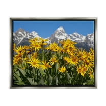 Stupell Industries Daisy Meadow & Mountains Landscape Photography Gray Floater Framed Canvas Art Print Wall Art, 21 x 17