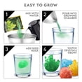 thumbnail image 4 of Kit científico: kit de cultivo Mega Crystal de NATIONAL GEOGRAPHIC, 4 of 5
