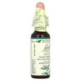 thumbnail image 4 of Bach Original Flower Remedies, Holly, 0.35 fl oz (10 ml), 4 of 5