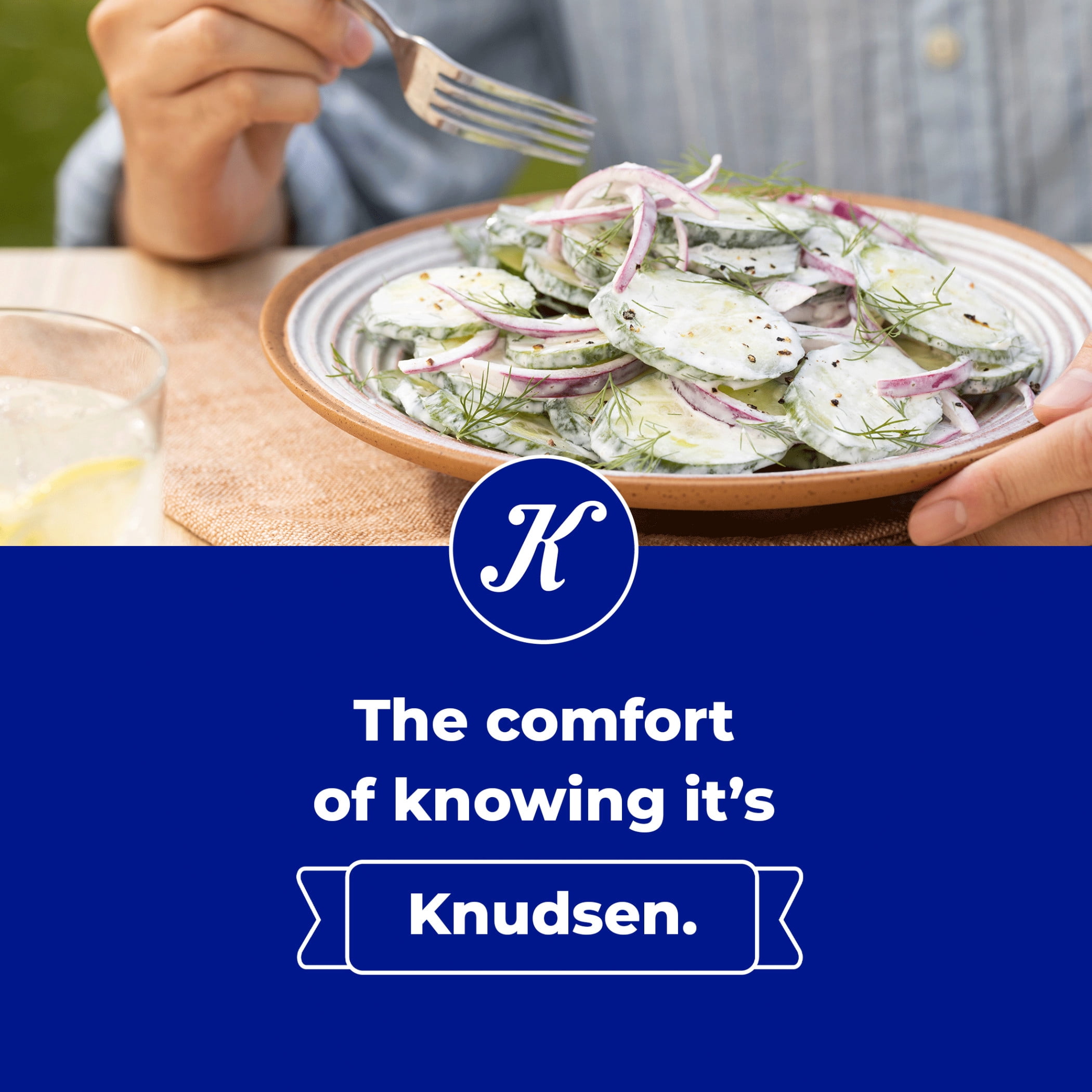 Knudsen's All Natural Sour Cream, 8 oz Tub