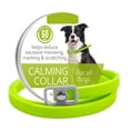 thumbnail image 2 of YujiCraft Calming Collar for Dogs - Dog Anxiety Relief Collar, Soft & Durable Material Prevents Neck Chafing, Adjustable Buckle for Secure Fit, Reduces Stress & Anxious Behavior,Green S, 2 of 3
