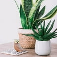 thumbnail image 4 of Owl Decor Mini Simulated Owl Garden Decoration Outdoor Yard Decor Statue Accessory, 4 of 5