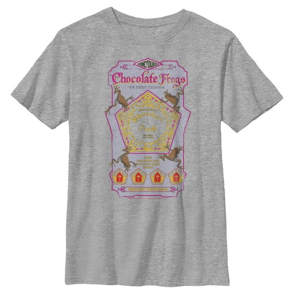 Boy's Harry Potter Chocolate Frogs  Graphic Tee Athletic Heather Small