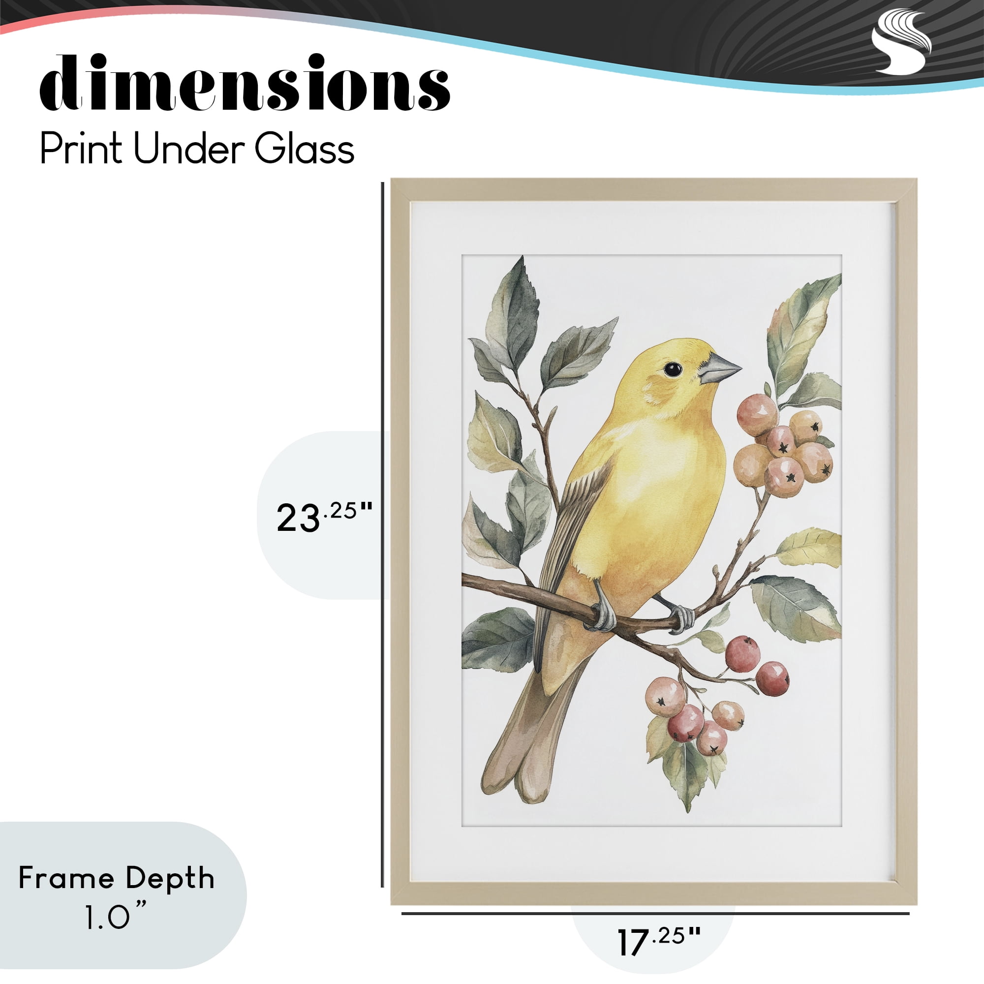 Stupell Industries Sun Lit Bird on Branch Birch Framed Print Under Glass, design by Petal Prints Design