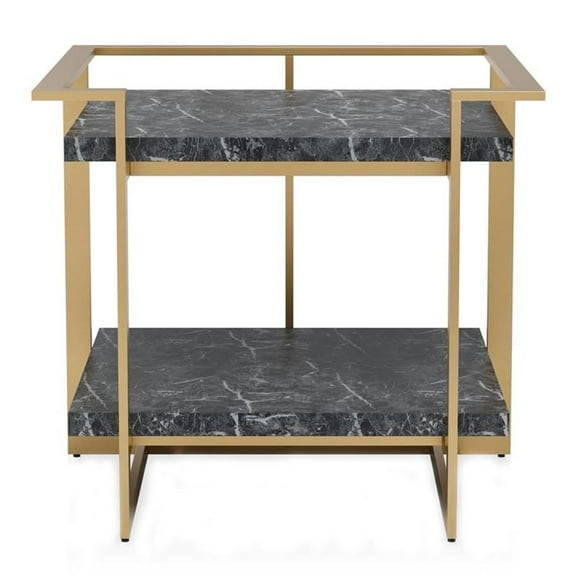 Furniture of America Meliman Contemporary Metal 1-Shelf End Table in Gold