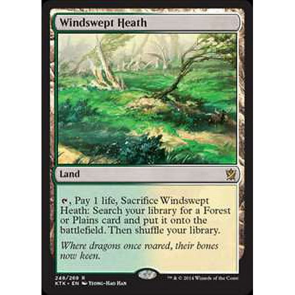 MtG Khans of Tarkir Windswept Heath