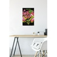 thumbnail image 4 of Trippie Redd - Miss the Rage Wall Poster with Magnetic Frame, 22.375" x 34", 4 of 4