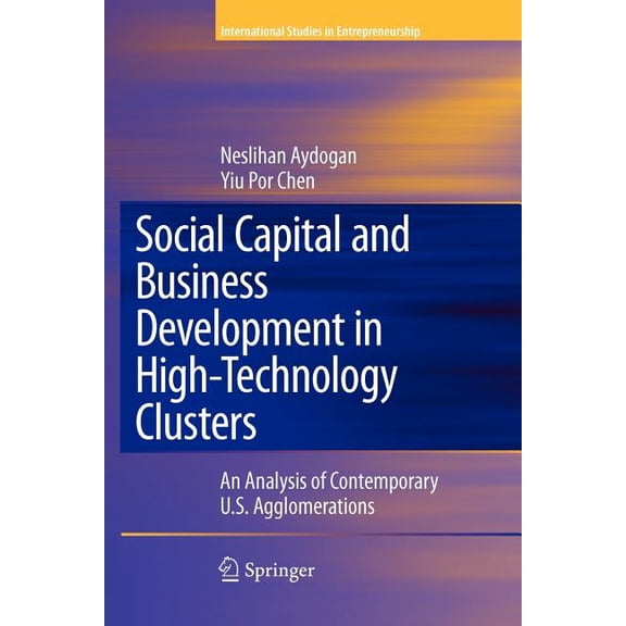 International Studies in Entrepreneurshi Social Capital and Business Development in High-Technology Clusters: An Analysis of Contemporary U.S. Agglomerations, Book 18, (Paperback)