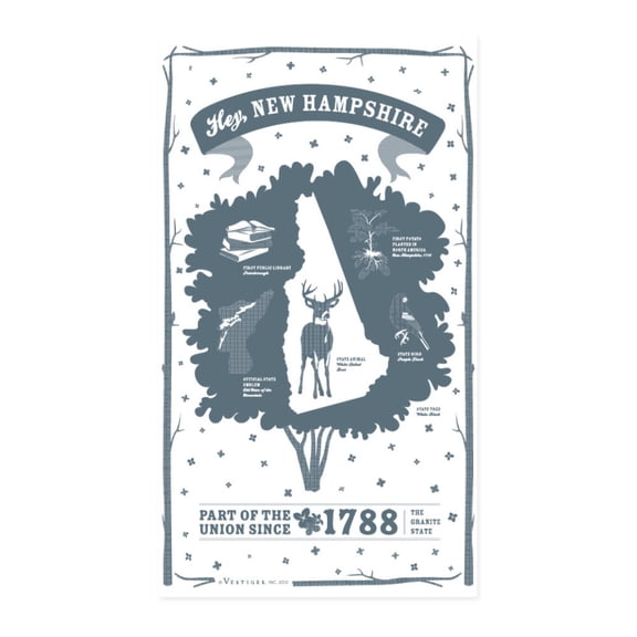 Vestiges New Hampshire State Souvenir Tea Towel 21.5" x 32" Eco-Friendly
