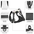thumbnail image 5 of Naloa Easter Colorful Rabbit Print Dog Harness, Pet Harness Vest with Traction Rope, Dog Vest for Outdoor, Walking-Large, 5 of 5