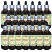 Hou Tou Gu (Hericium Erinaceus) Glycerite, Dried Mushroom Alcohol-FREE Liquid Extract (Herbal Terra, USA) 20x4 oz
