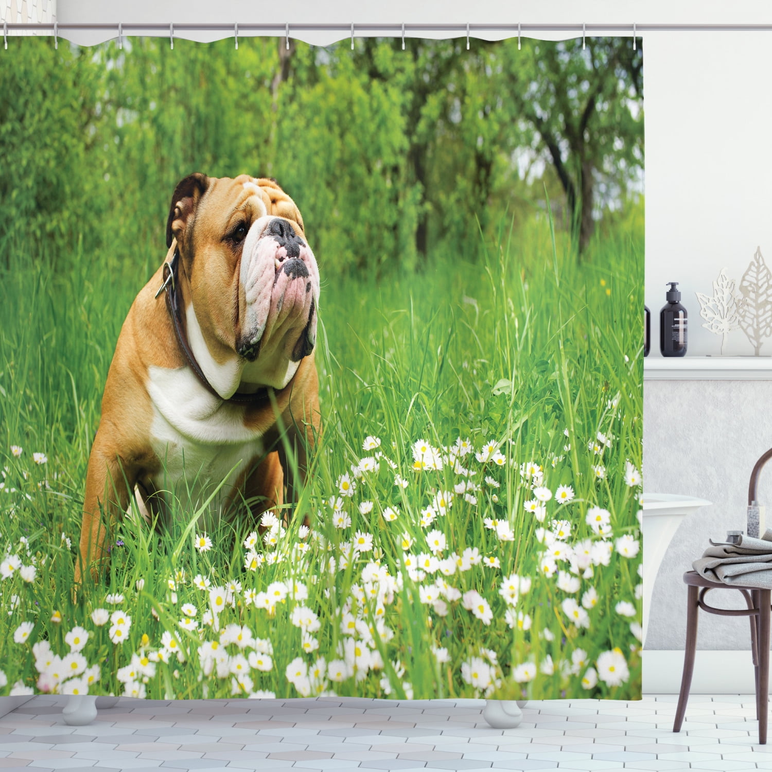 English Bulldog Shower Curtain, Park in Spring with Blooming Daisies