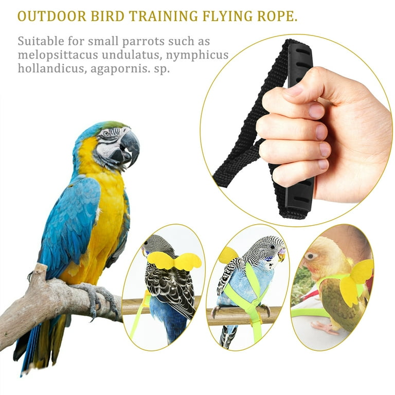 Fashion small bird leash