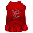 thumbnail image 1 of Bunny Is My Bestie Screen Print Dog Dress Red Lg (14), 1 of 1