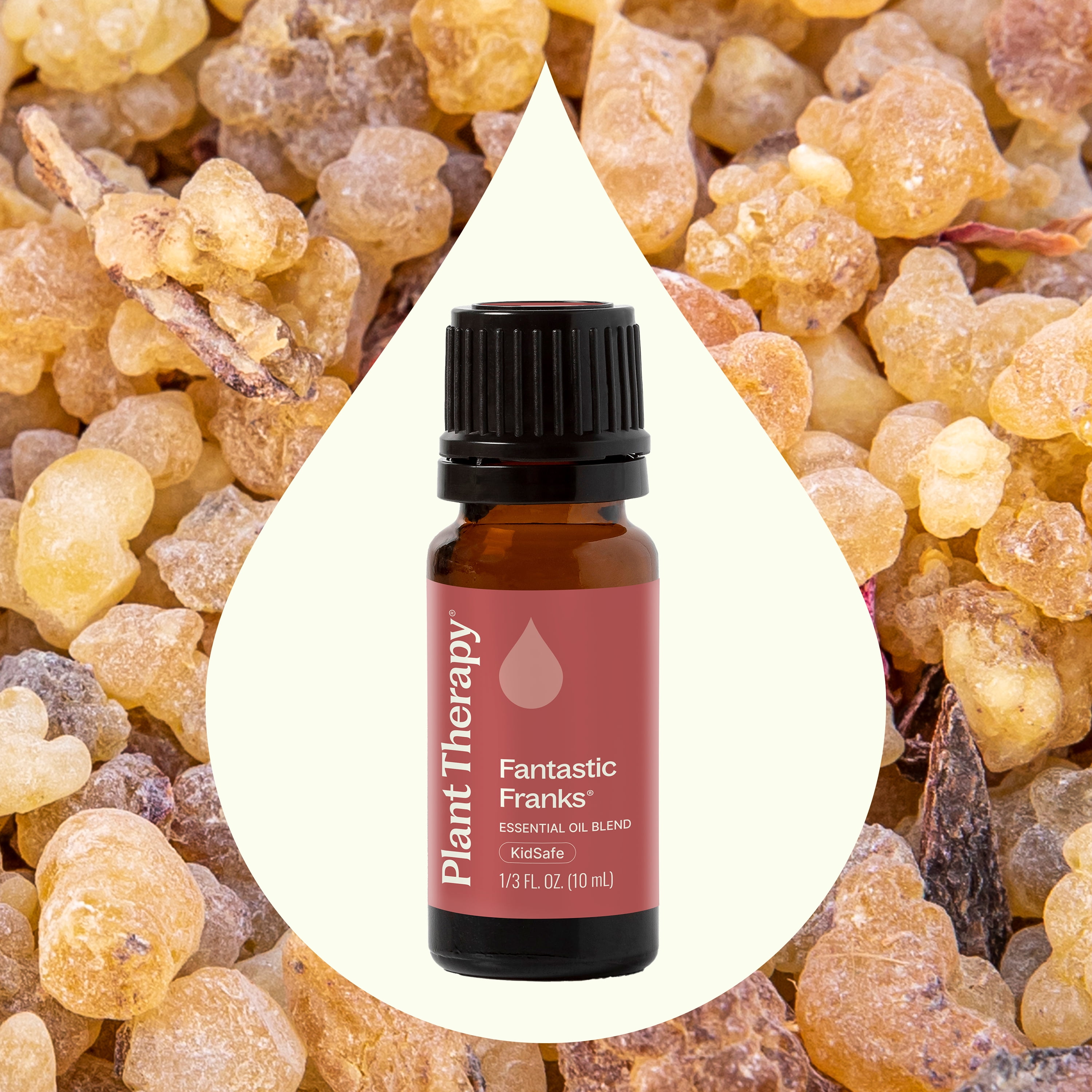 Plant Therapy Fantastic Franks Essential Oil Blend 10 mL (1/3 oz) 100% Pure, Undiluted, Natural Aromatherapy